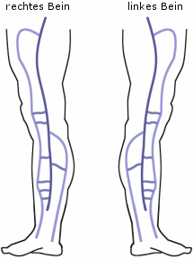 Schematische Darstellung von zwei Beinen